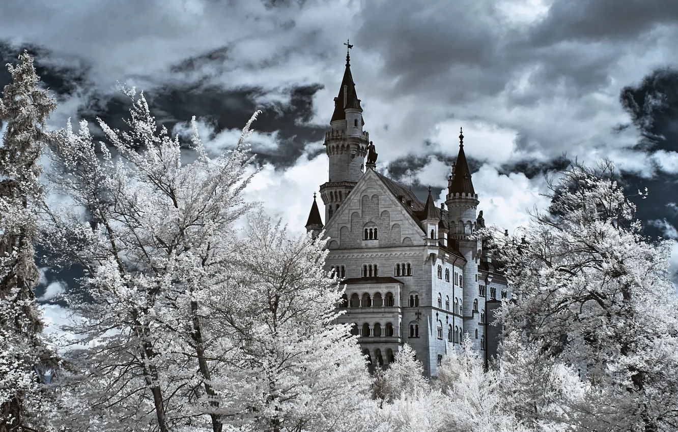 Photo wallpaper winter, frost, clouds, snow, trees, branches, castle, view