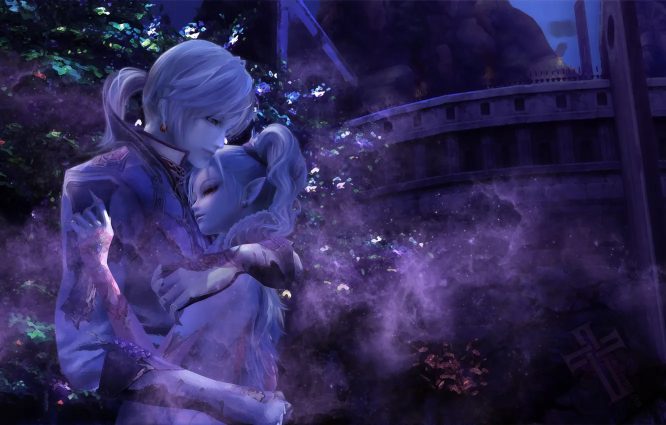 Photo wallpaper the game, elf, two, AION