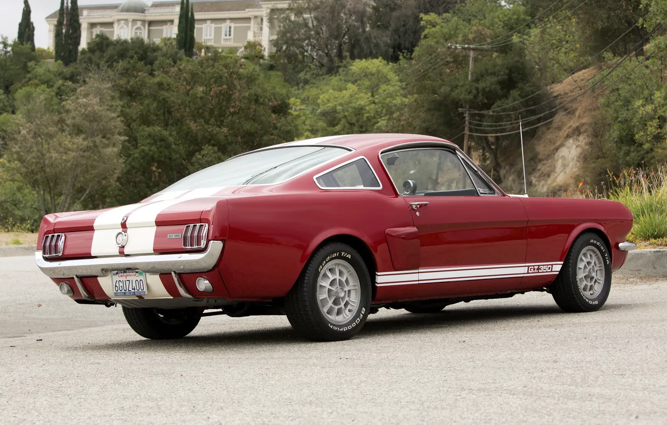 Photo wallpaper Mustang, Ford, Shelby, classic, 1966, back, GT350