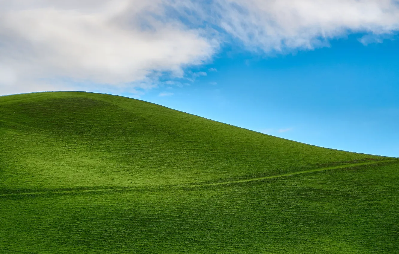 Photo wallpaper green, grass, sky, nature, hill