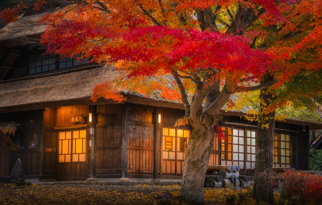 Photo wallpaper autumn, trees, home, Japan