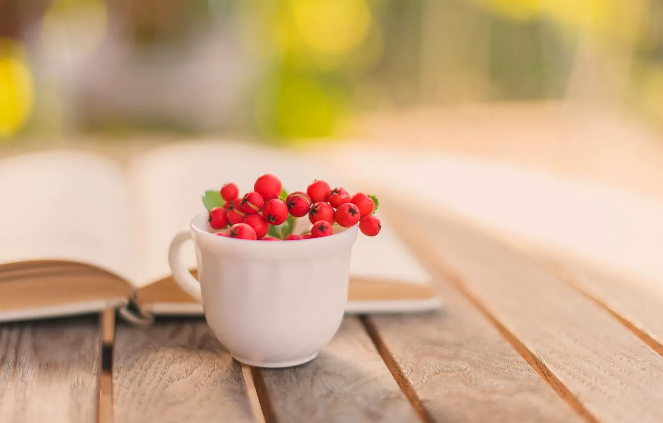 Photo wallpaper autumn, berries, table, blur, Cup, red, book, Rowan