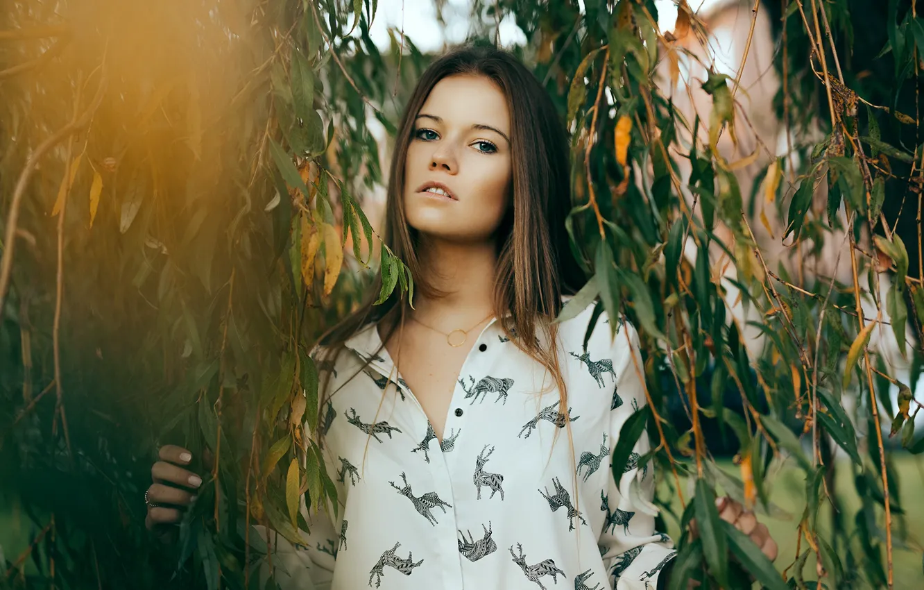 Photo wallpaper look, leaves, branches, portrait, makeup, hairstyle, blouse, brown hair