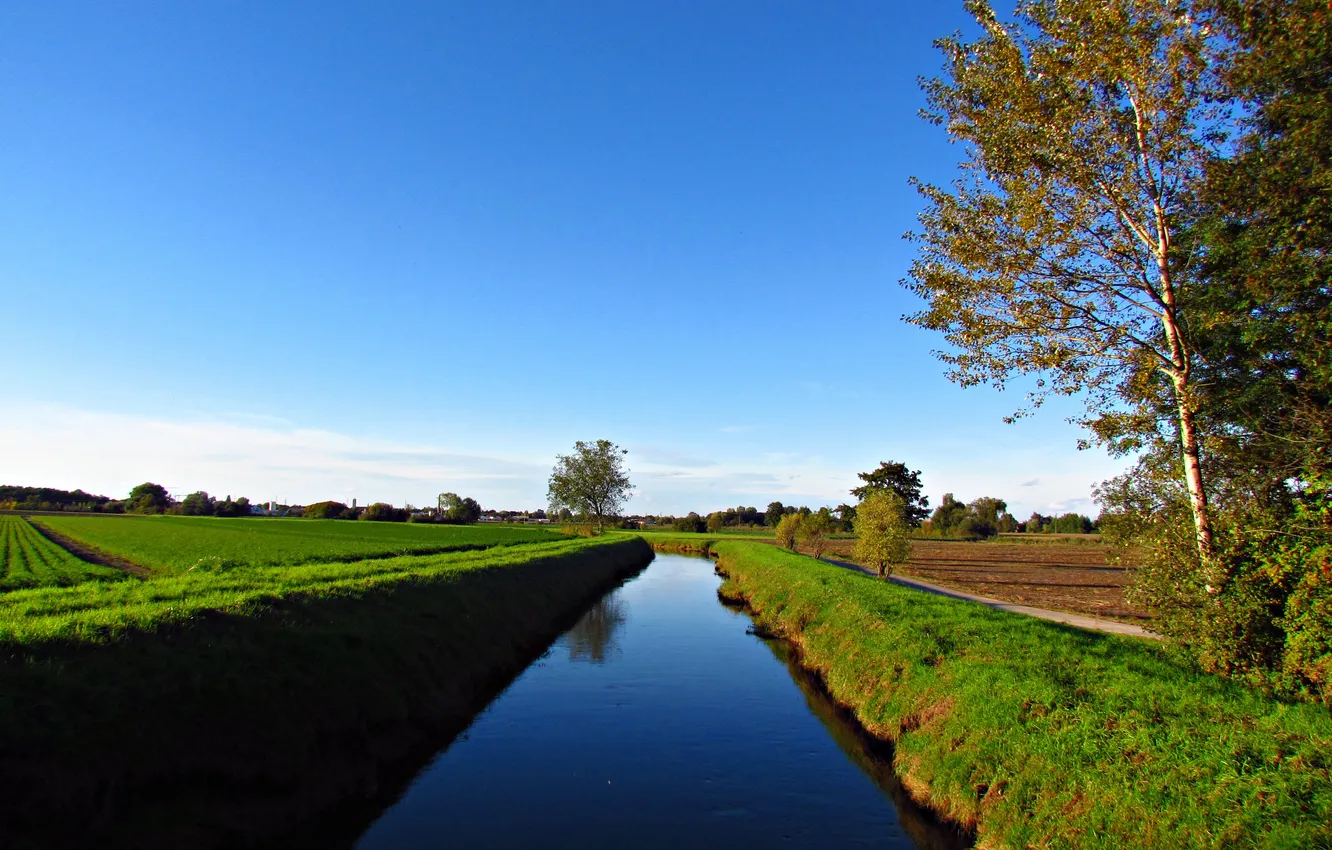 Photo wallpaper field, the sky, grass, clouds, trees, landscape, nature, river