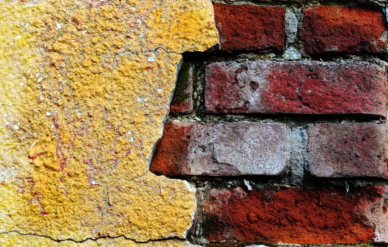 Photo wallpaper wall, color, brick, texture