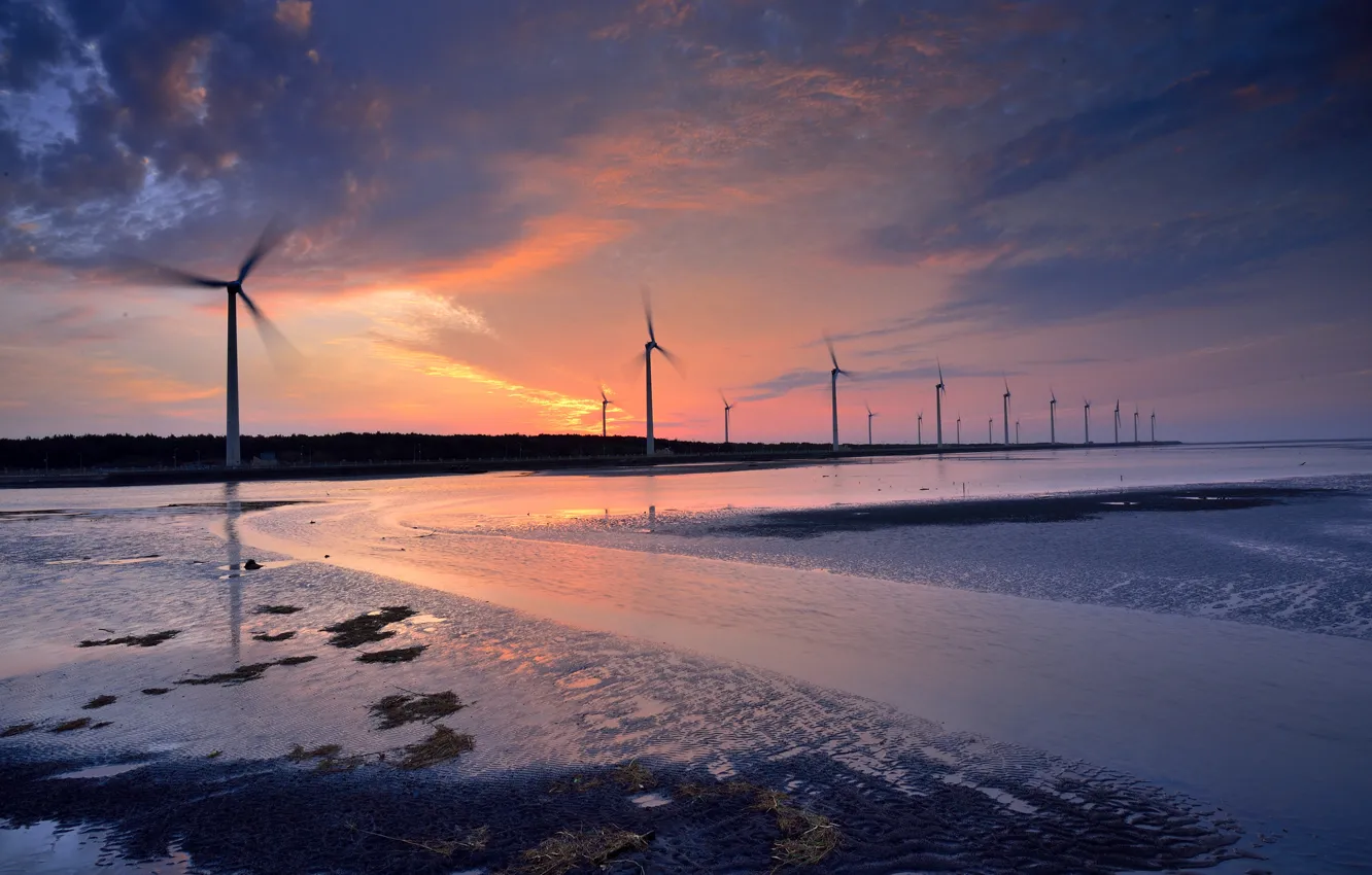 Photo wallpaper water, algae, propeller, stranded, twilight, blades, windmills