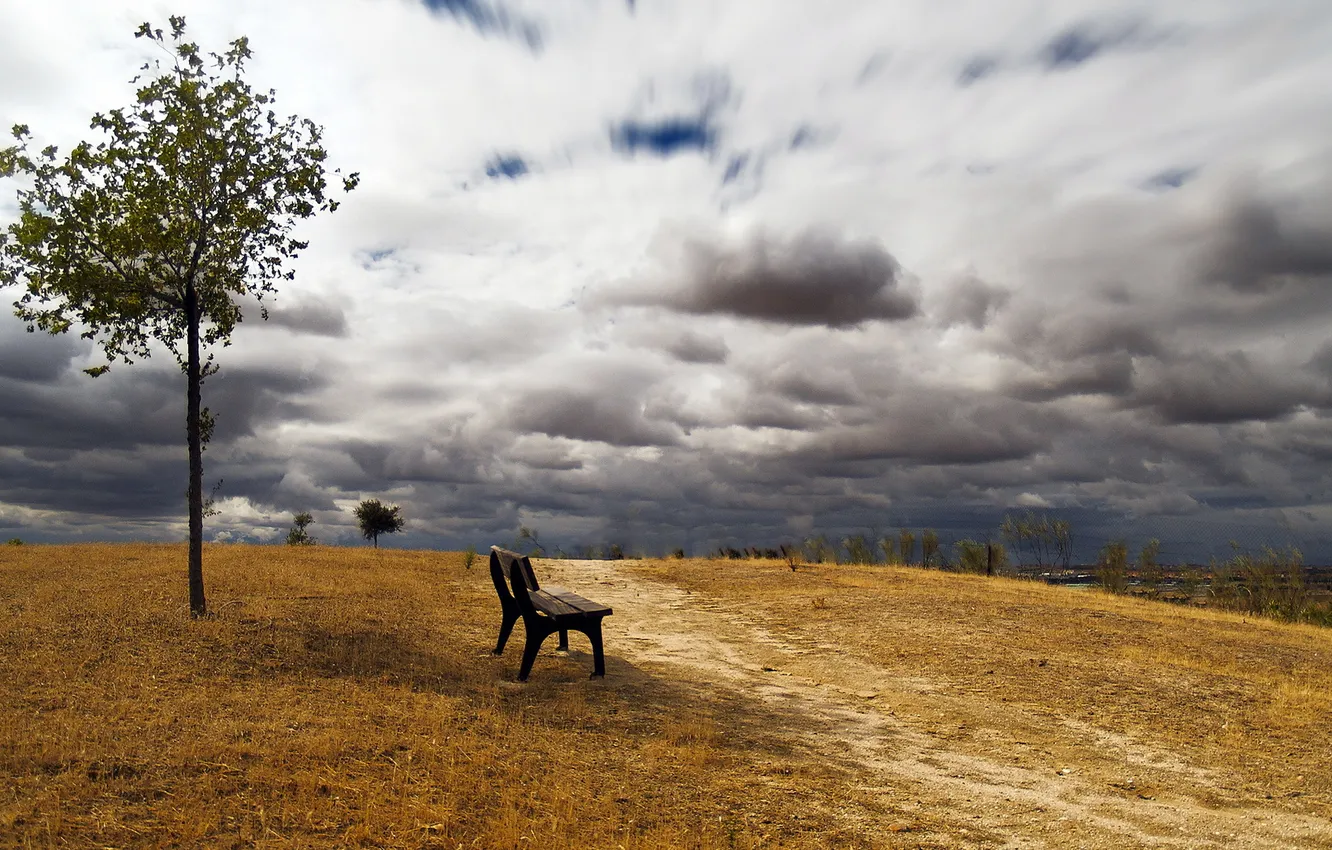 Photo wallpaper the sky, trees, landscape, bench