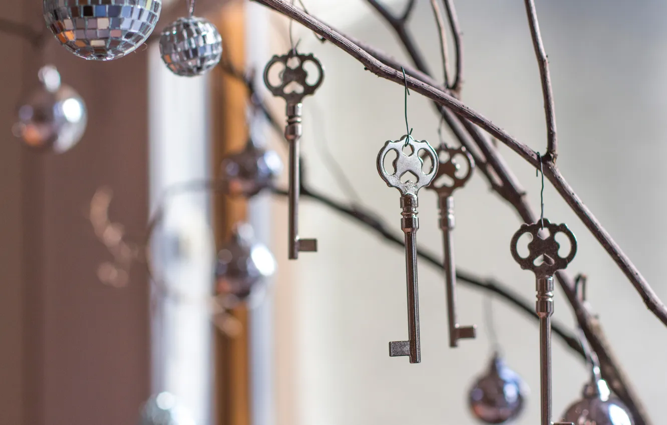 Photo wallpaper branches, key, hanging, key