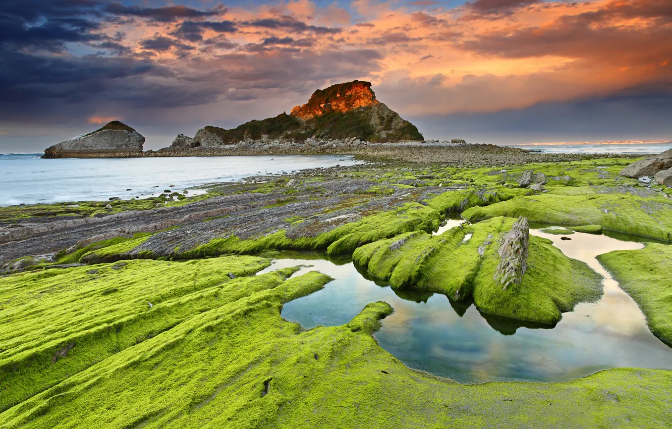 Photo wallpaper sea, the sky, algae, stones, rocks