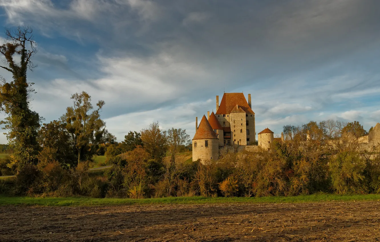 Photo wallpaper field, trees, castle, architecture, the bushes, arable land