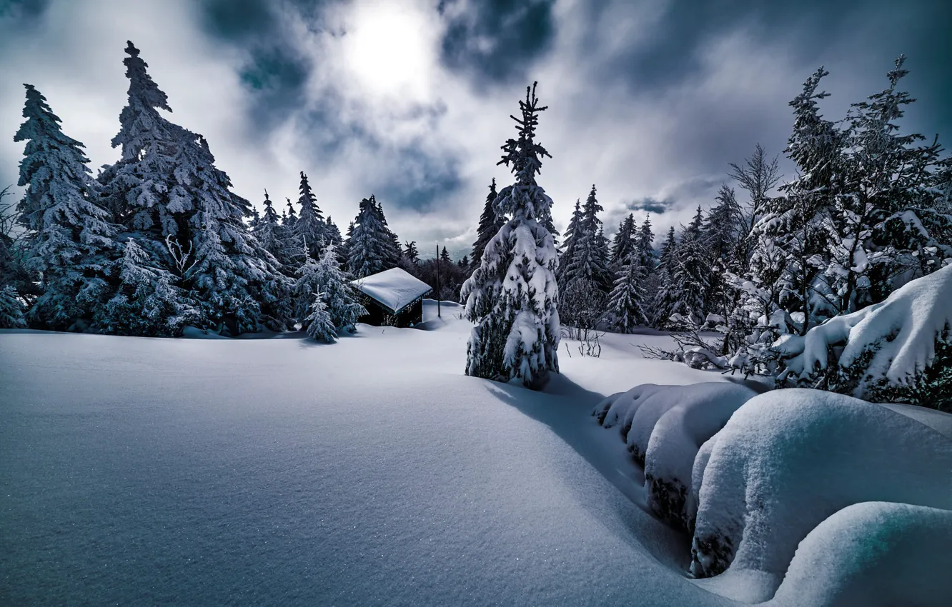 Photo wallpaper winter, snow, trees, landscape, nature, house, ate, the snow