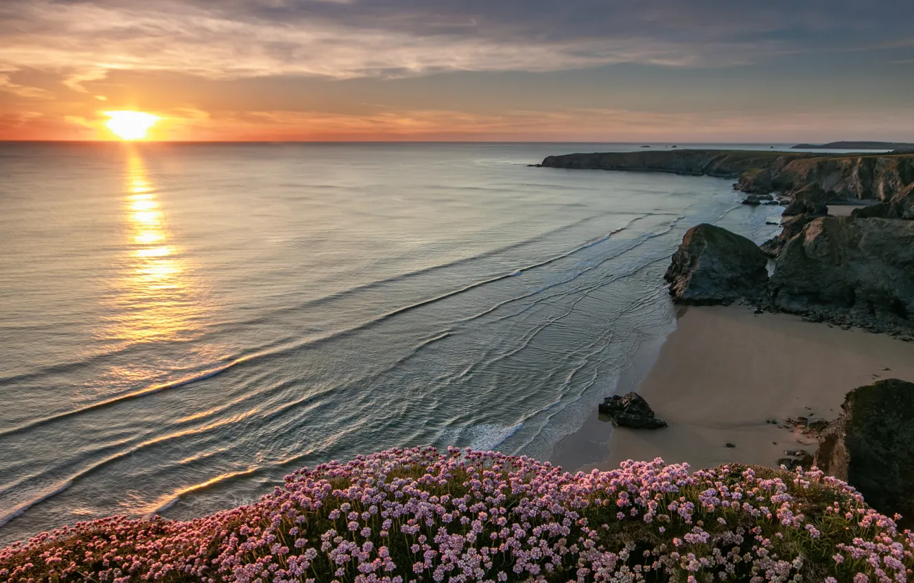 Photo wallpaper sea, sunset, flowers, rocks, coast, England, England, Cornwall