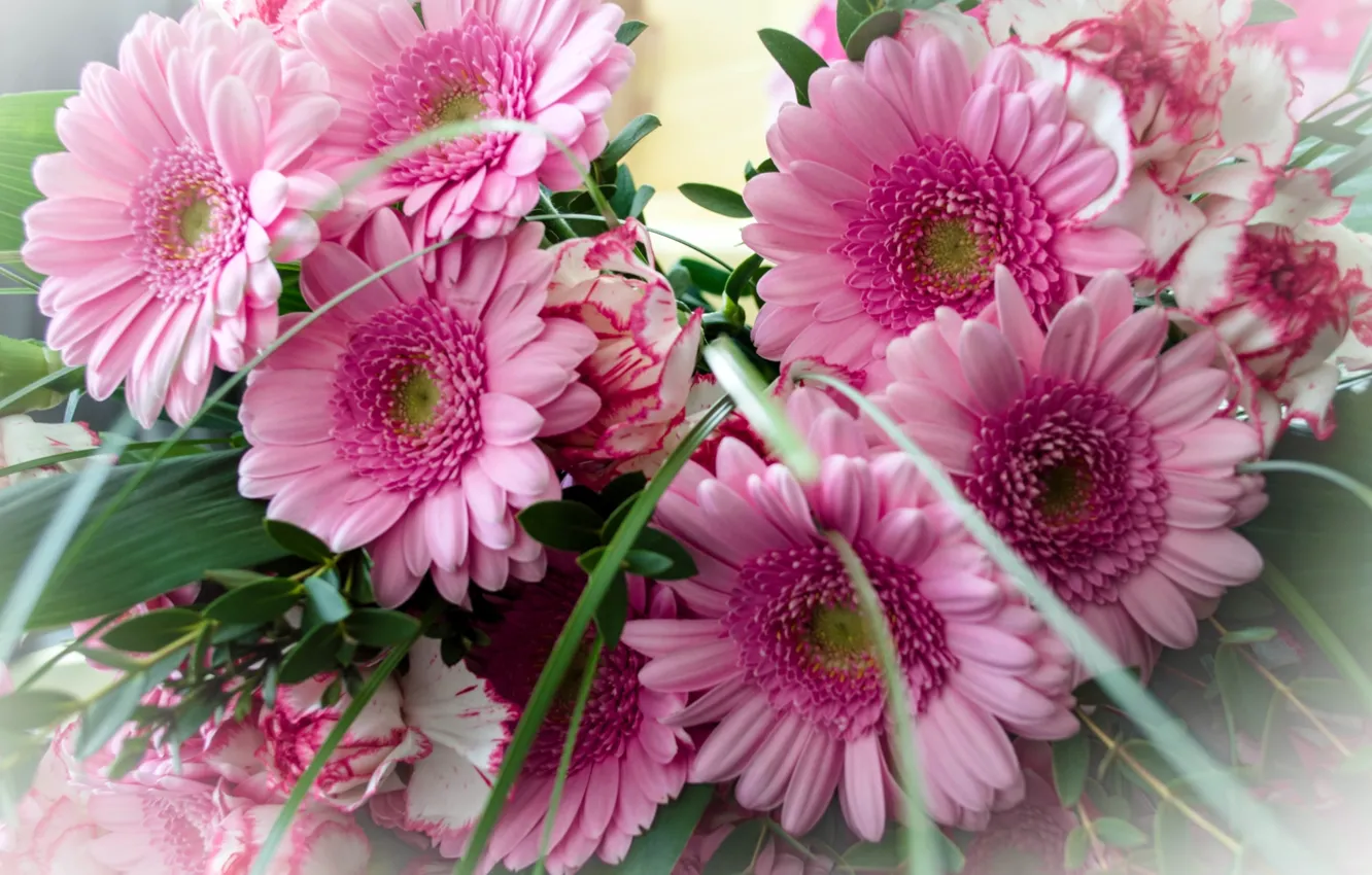 Photo wallpaper pink, bouquet, gerbera
