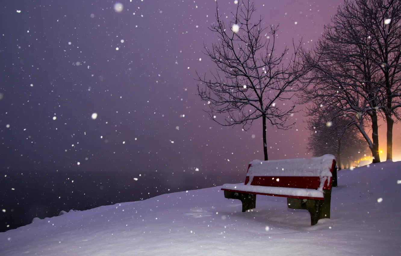 Photo wallpaper winter, snow, night, the city, bench