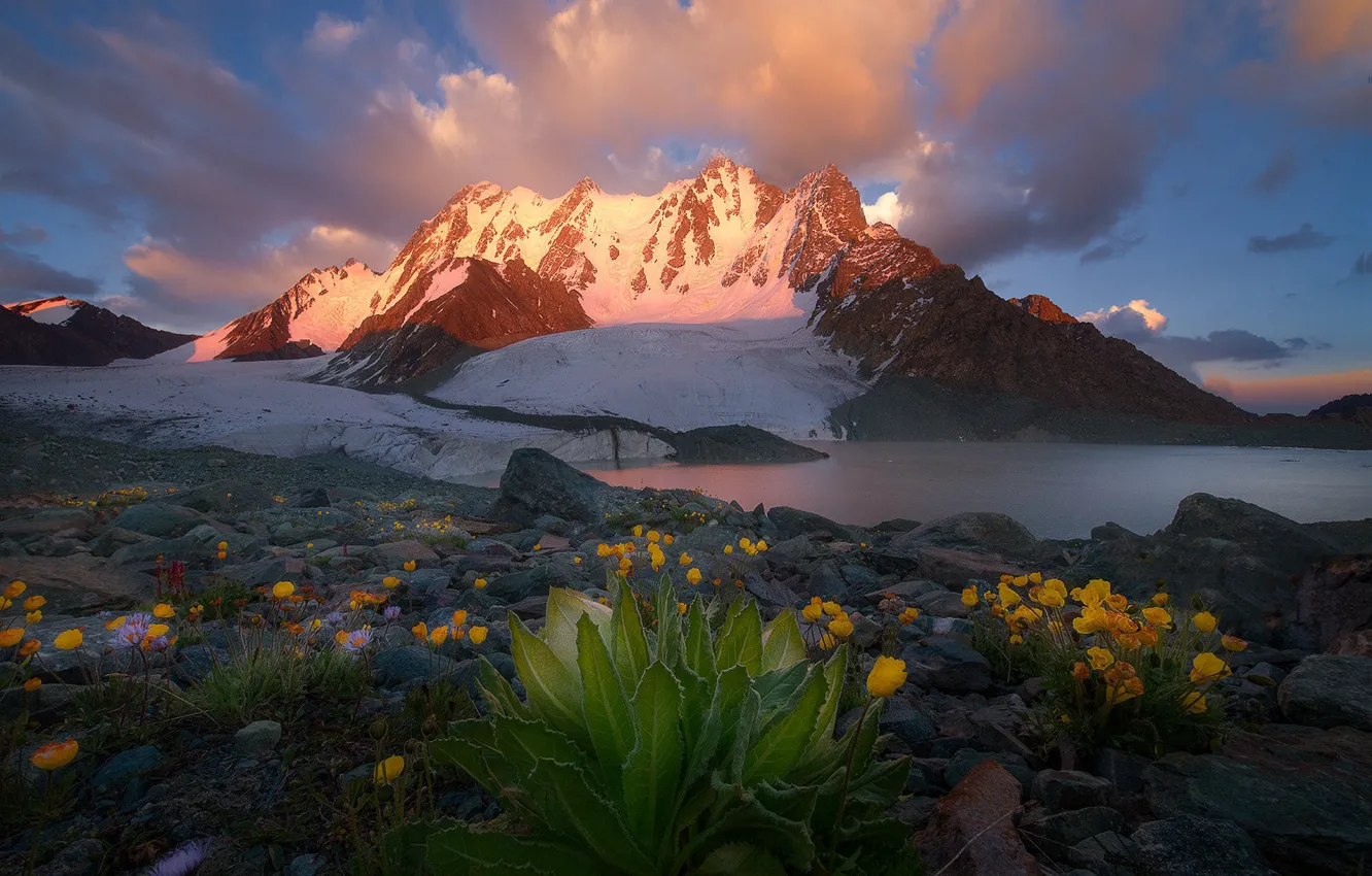 Photo wallpaper leaves, snow, flowers, mountains, shore, tops, lighting, pond