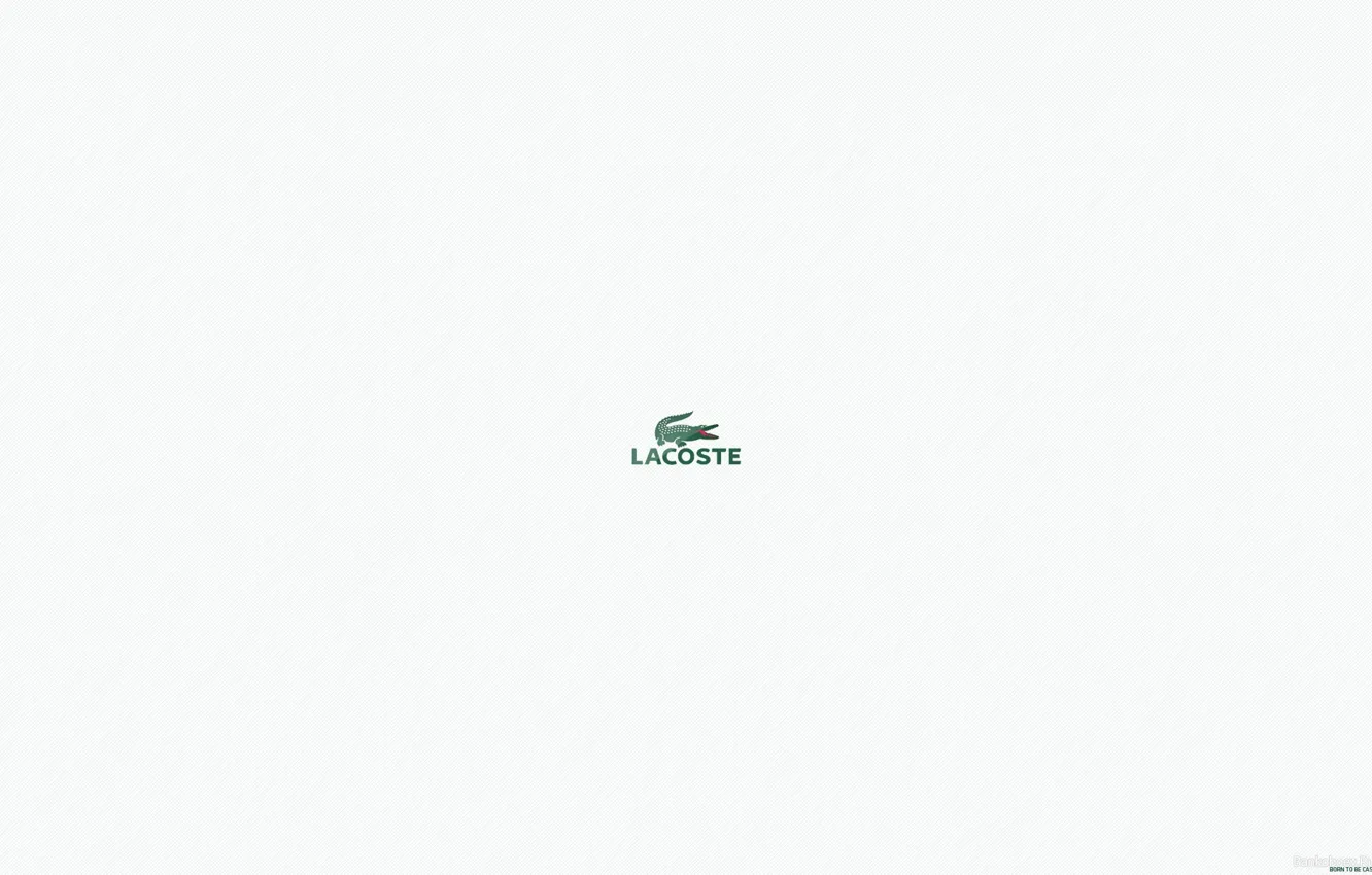 Photo wallpaper firm, brand, lacoste