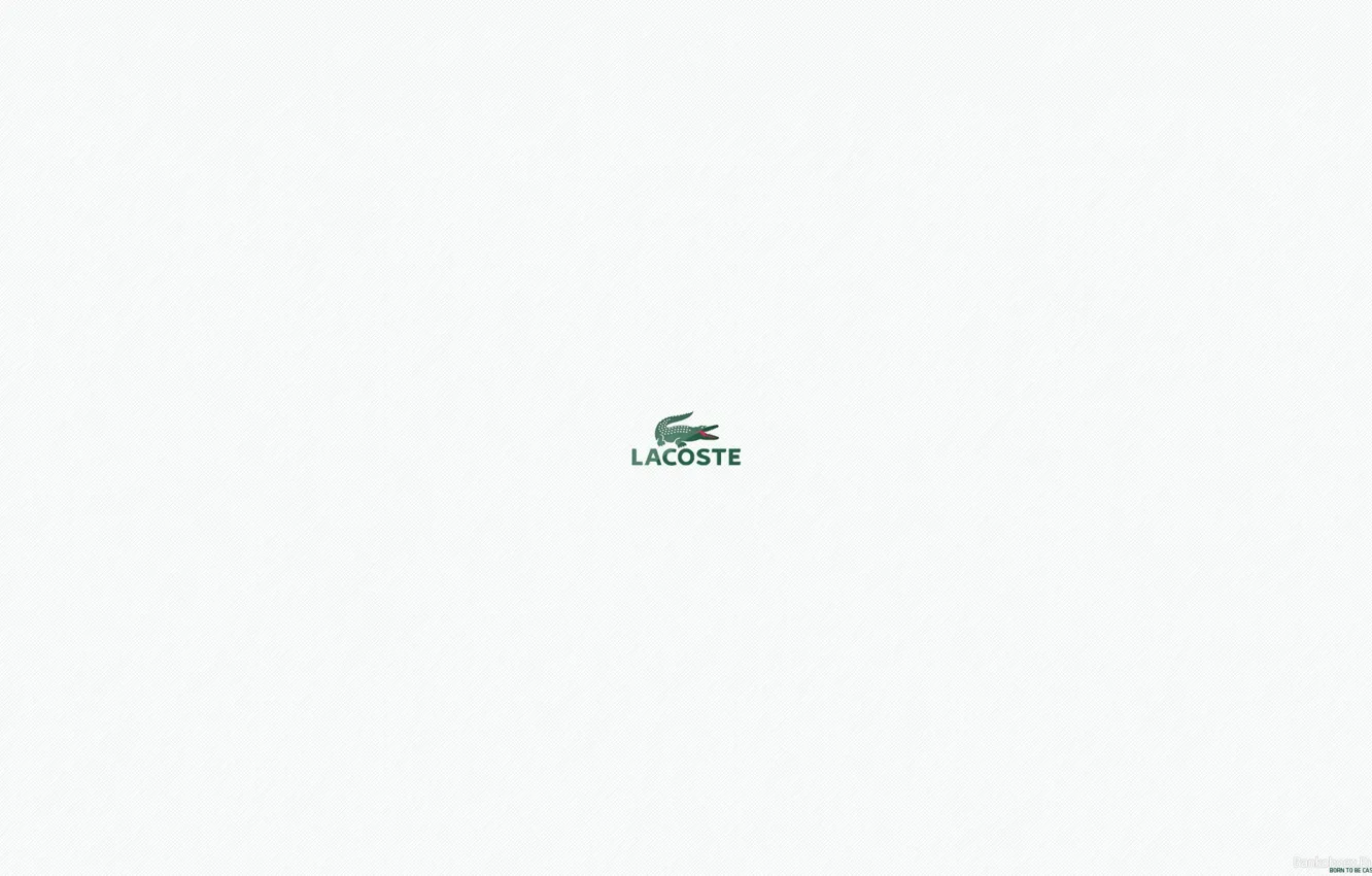 Photo wallpaper firm, Lacoste, brand