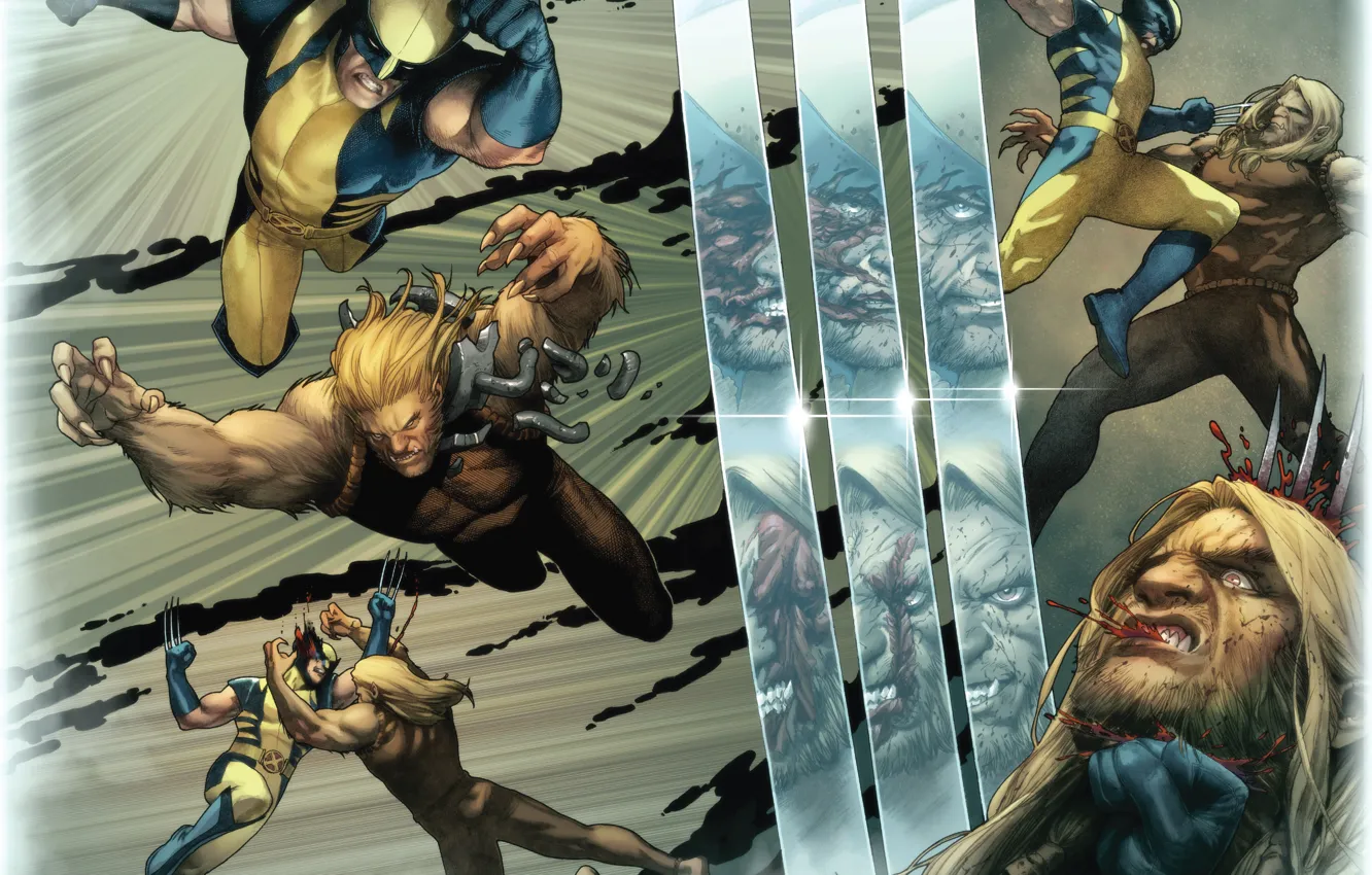 Photo wallpaper Wolverine, Logan, Wolverine, Marvel, James Howlett, James Howlett, Sabretooth, Sabretooth