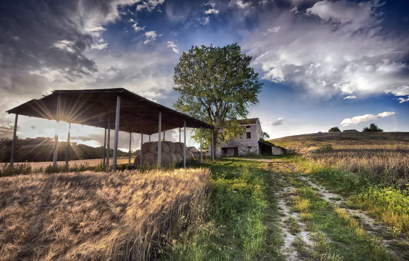 Photo wallpaper field, summer, landscape, home, hay, ears