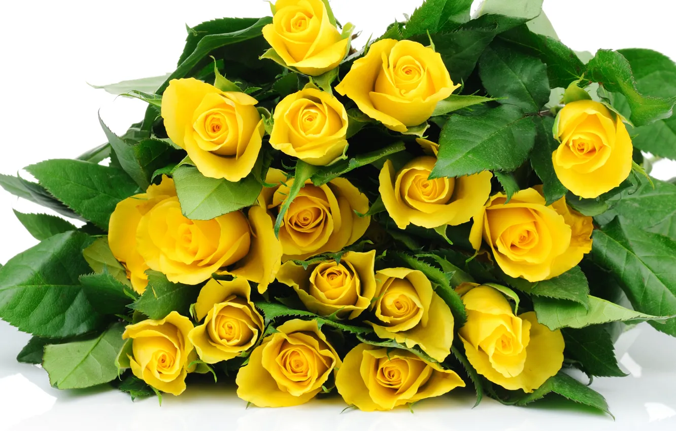 Photo wallpaper leaves, yellow, roses, bouquet, white background, buds