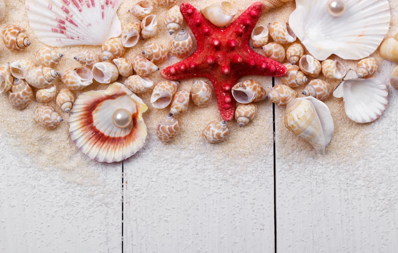 Photo wallpaper sand, shell, wood, sand, marine, still life, pearl, starfish
