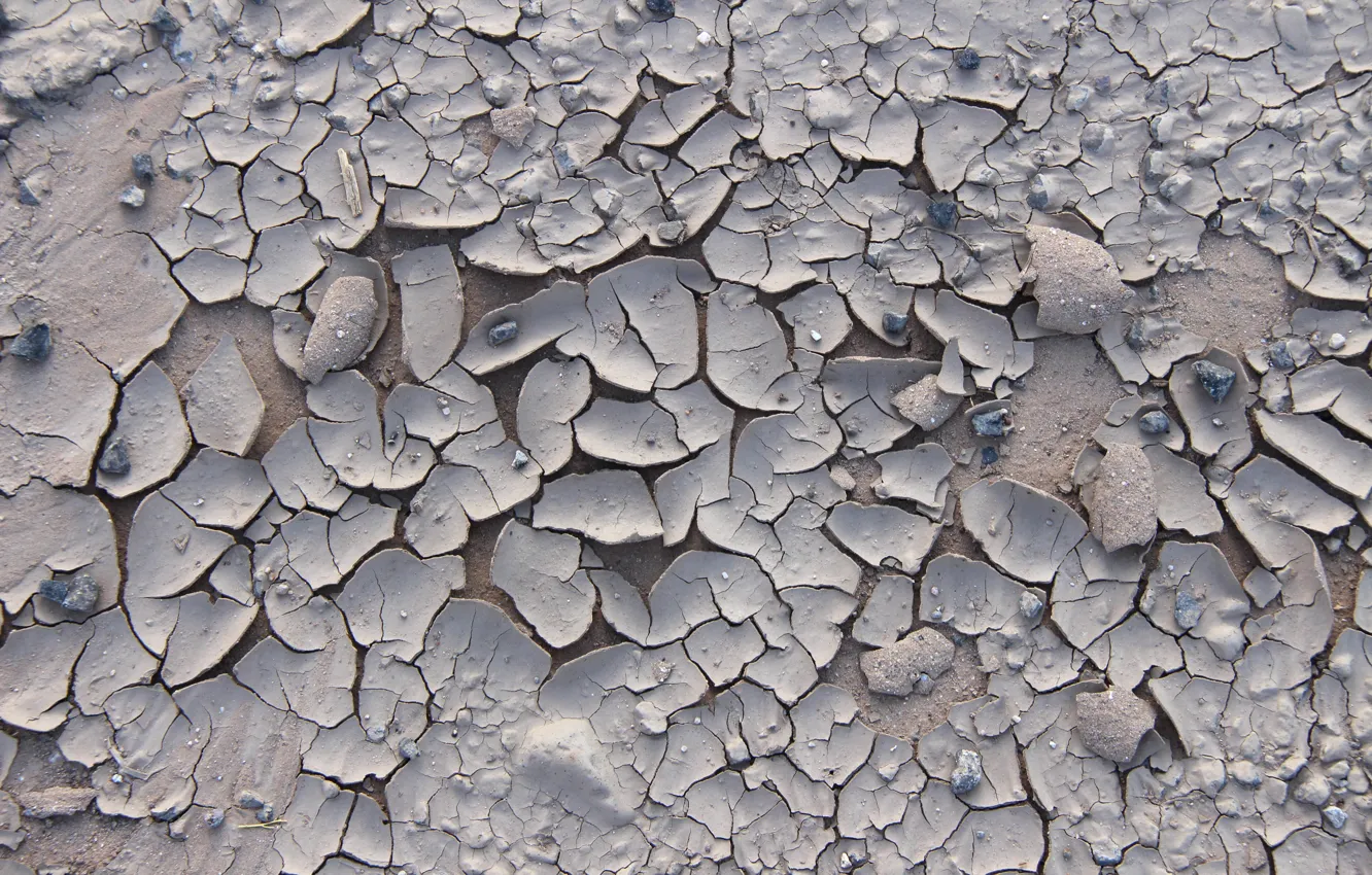Photo wallpaper sand, cracked, texture, stones, the ground