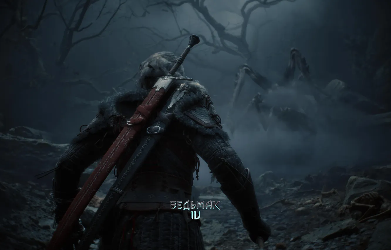 Photo wallpaper The Witcher, Witcher, Sword, CD PROJECT RED, CDPR, Ciri, Cirilla, The Witcher IV