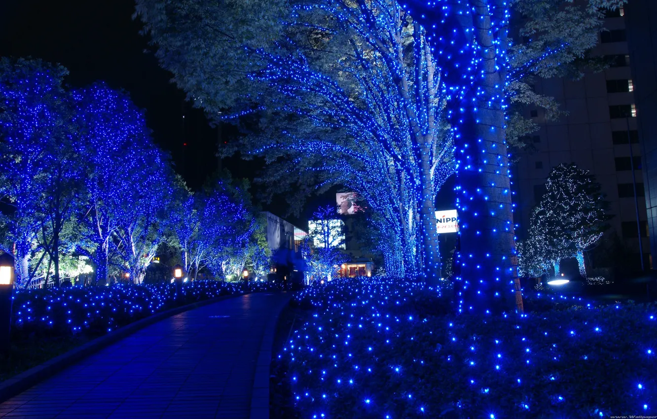 Photo wallpaper trees, new year, Tokyo, neon
