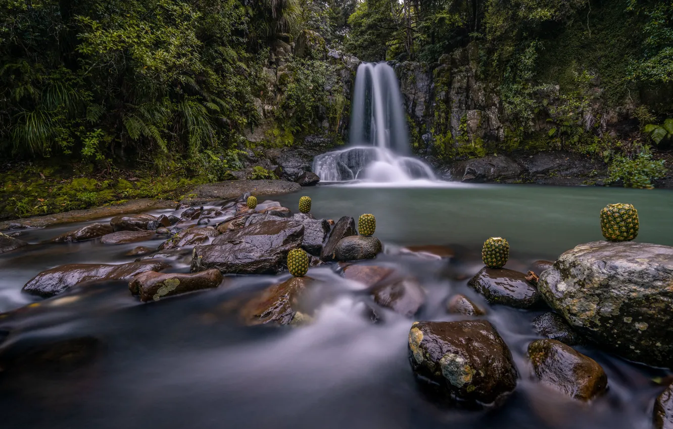 Photo wallpaper stones, rocks, vegetation, waterfall, stream, pineapple, fern