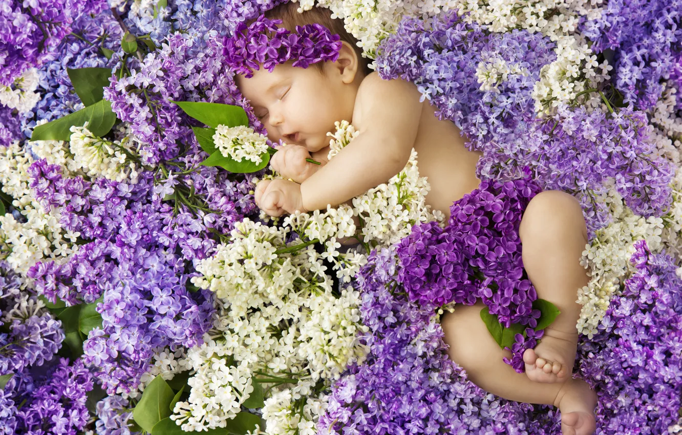 Photo wallpaper flowers, sleep, sleeping, girl, baby