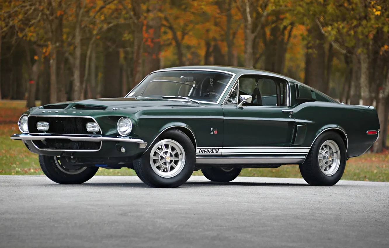 Photo wallpaper Shelby, GT500, mustang, Mustang, ford, muscle car, Ford, classic