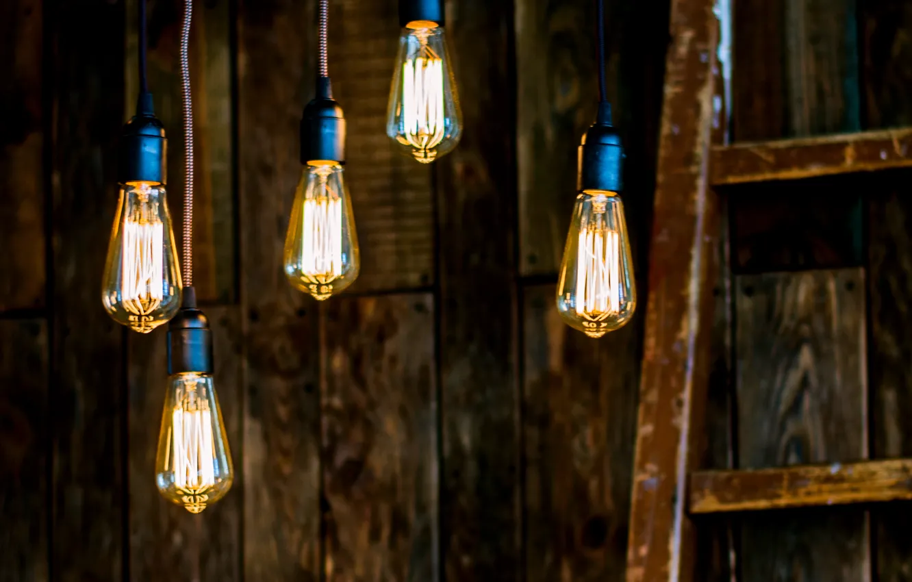 Photo wallpaper trees, lamp, interior, light bulb, Studio, Shine