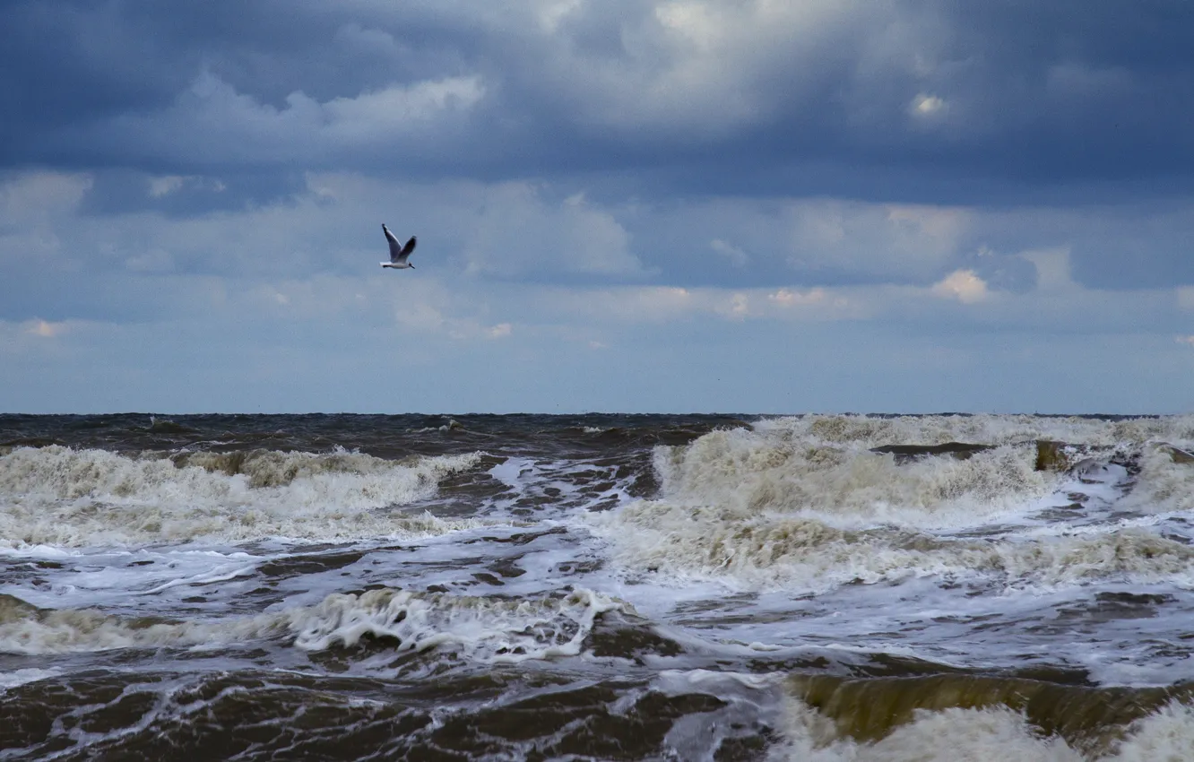 Photo wallpaper sea, wave, foam, clouds, seagulls