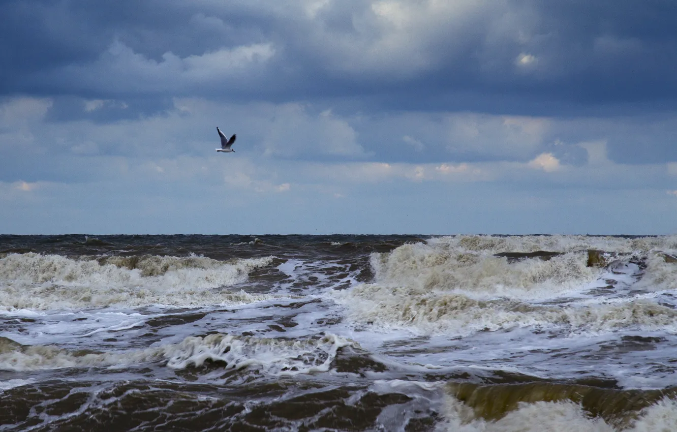 Photo wallpaper sea, wave, foam, clouds, Seagull