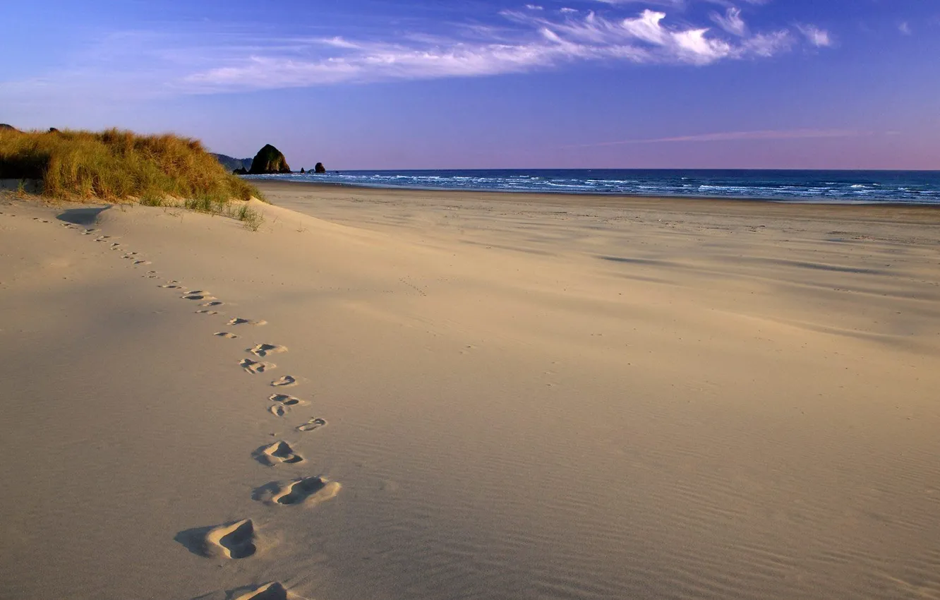 Photo wallpaper sand, sea, shore, Traces