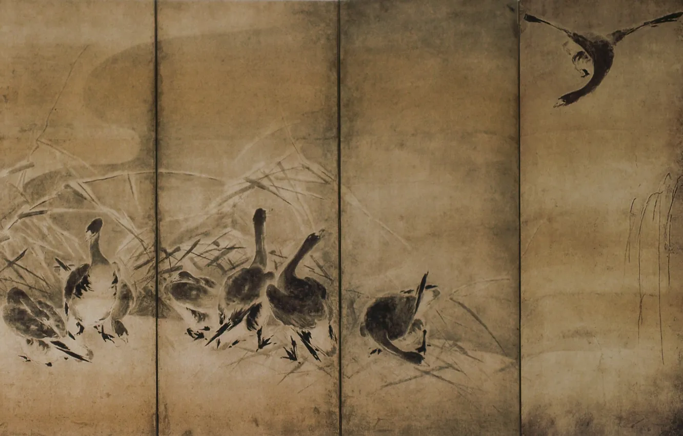 Photo wallpaper grass, figure, duck