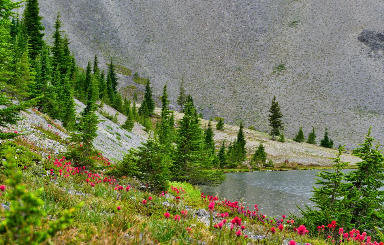 Photo wallpaper flowers, mountains, lake, tree, ate, slope