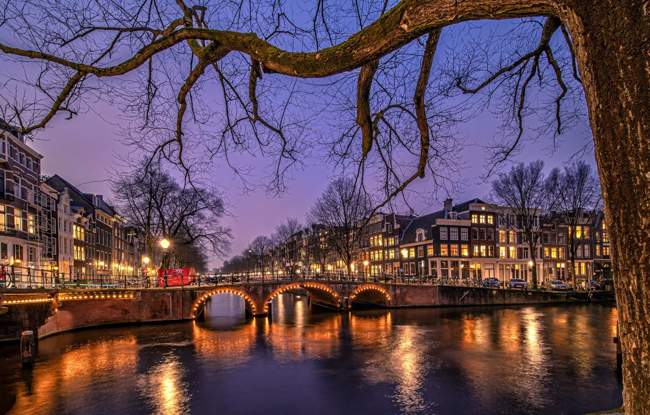 Photo wallpaper trees, bridge, the city, building, home, the evening, lighting, Amsterdam