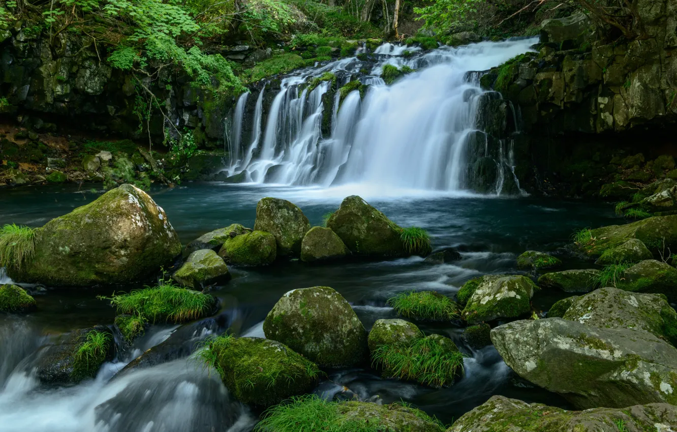 Photo wallpaper greens, water, stones, waterfall, moss