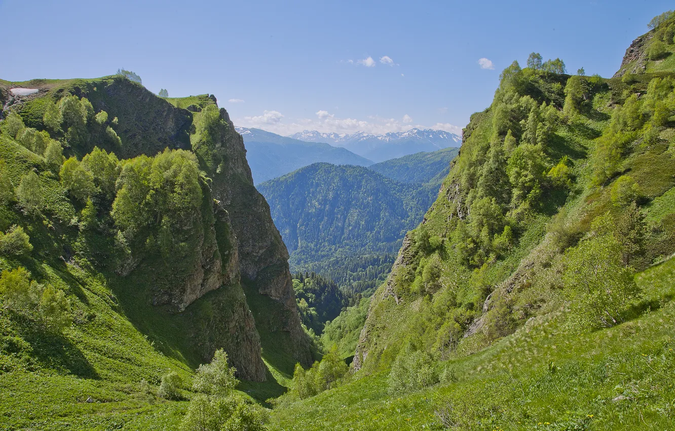 Photo wallpaper greens, summer, the sky, clouds, trees, mountains, blue