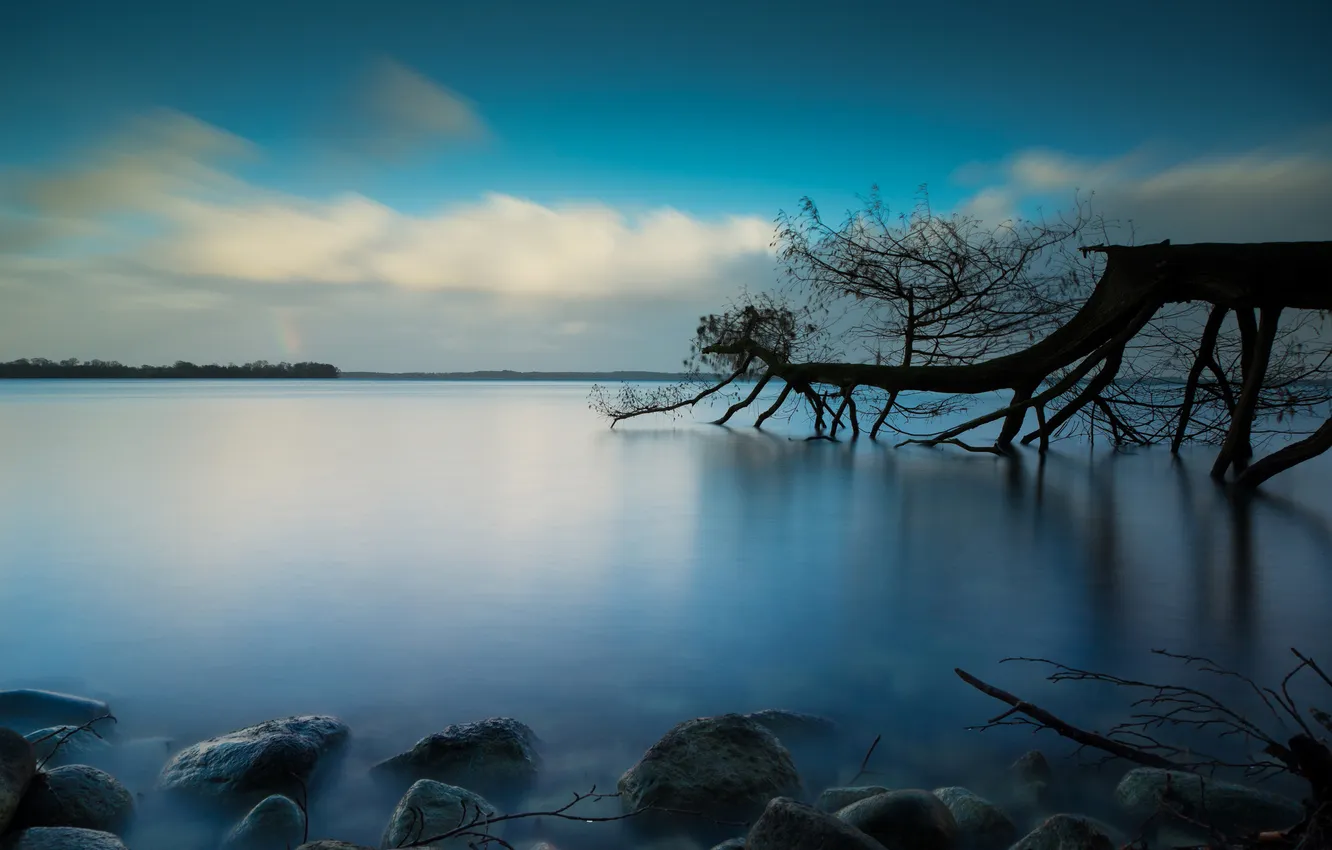 Photo wallpaper the sky, trees, lake, stones