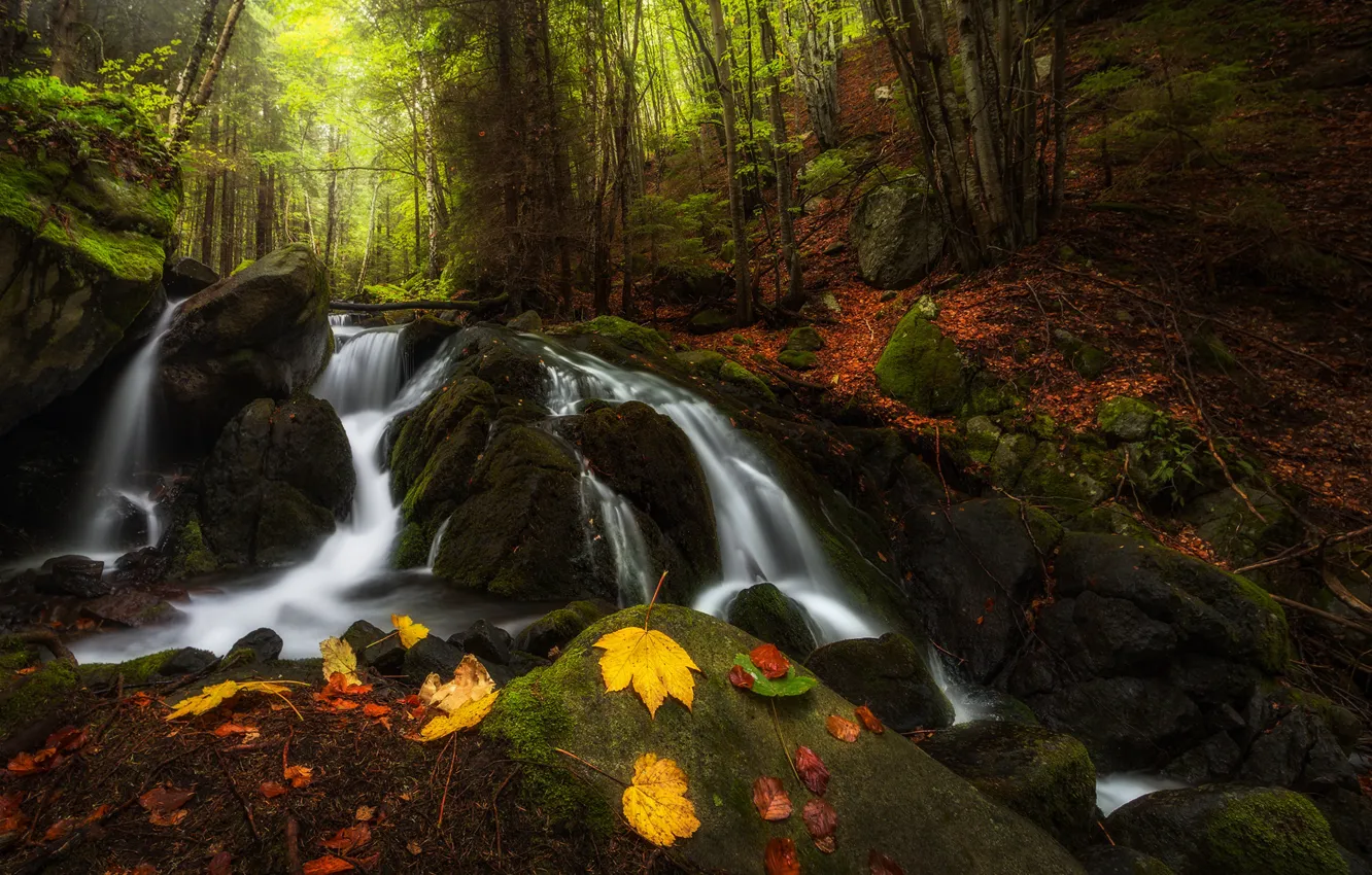 Photo wallpaper autumn, forest, leaves, landscape, mountains, nature, stones, waterfall