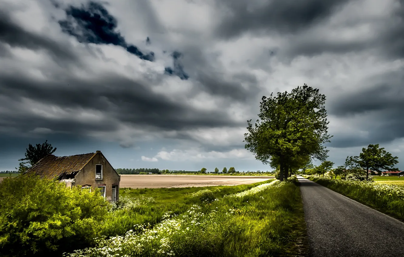 Photo wallpaper road, field, home