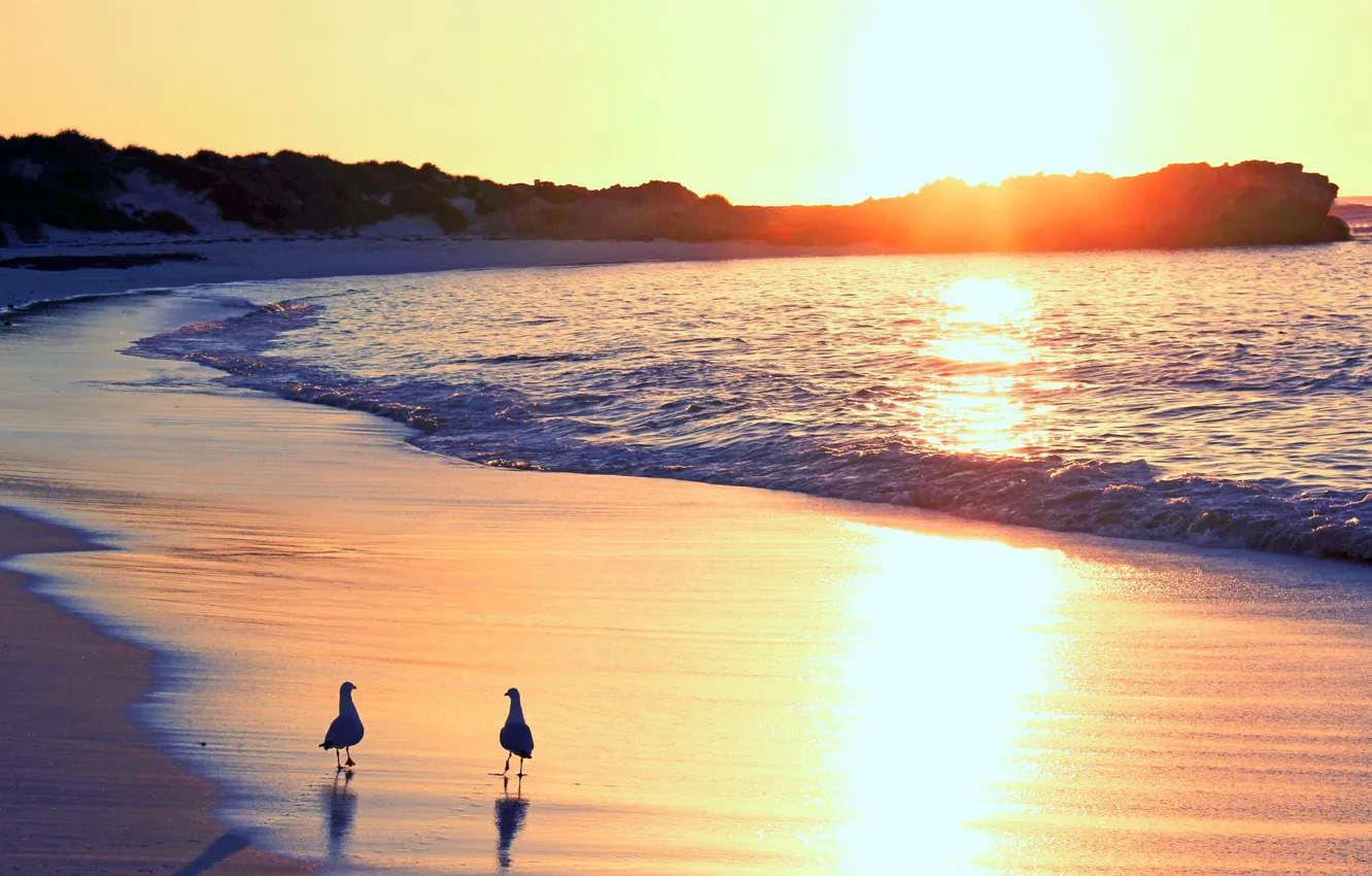 Photo wallpaper sand, sea, wave, landscape, birds