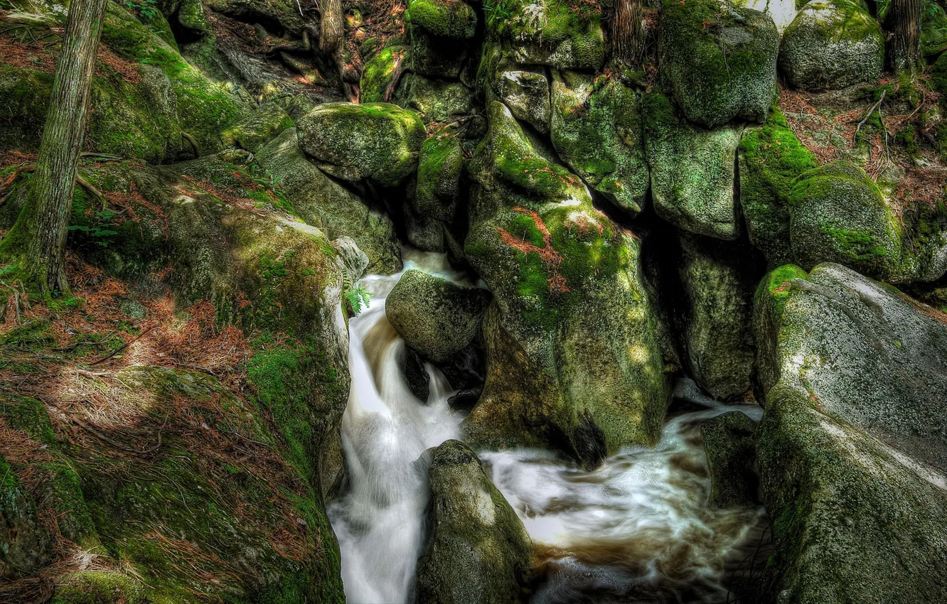 Photo wallpaper river, stream, stones, rocks, moss, stream