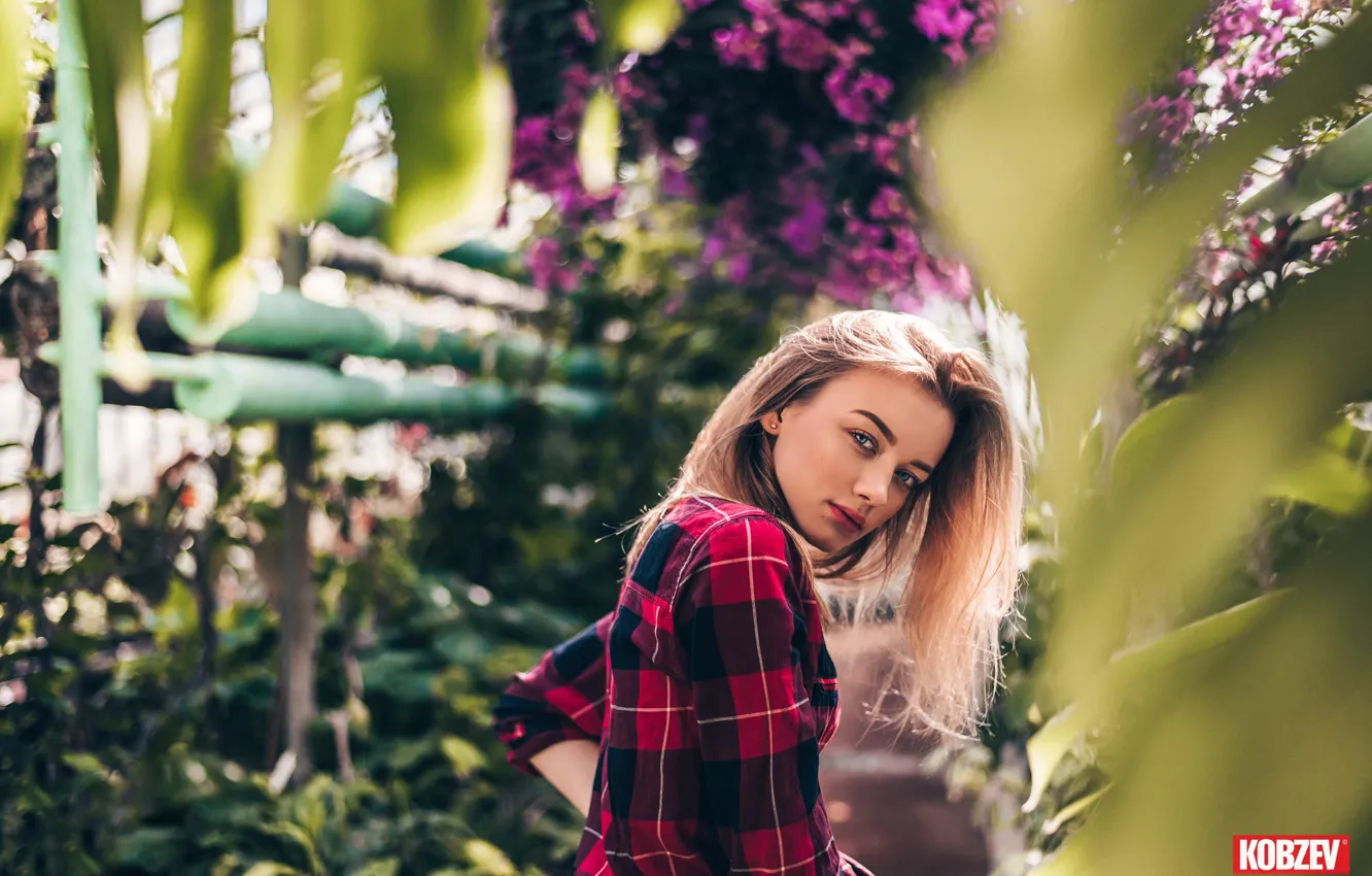 Photo wallpaper look, girl, hair, blonde, shirt, beautiful, Viktor Kobzev