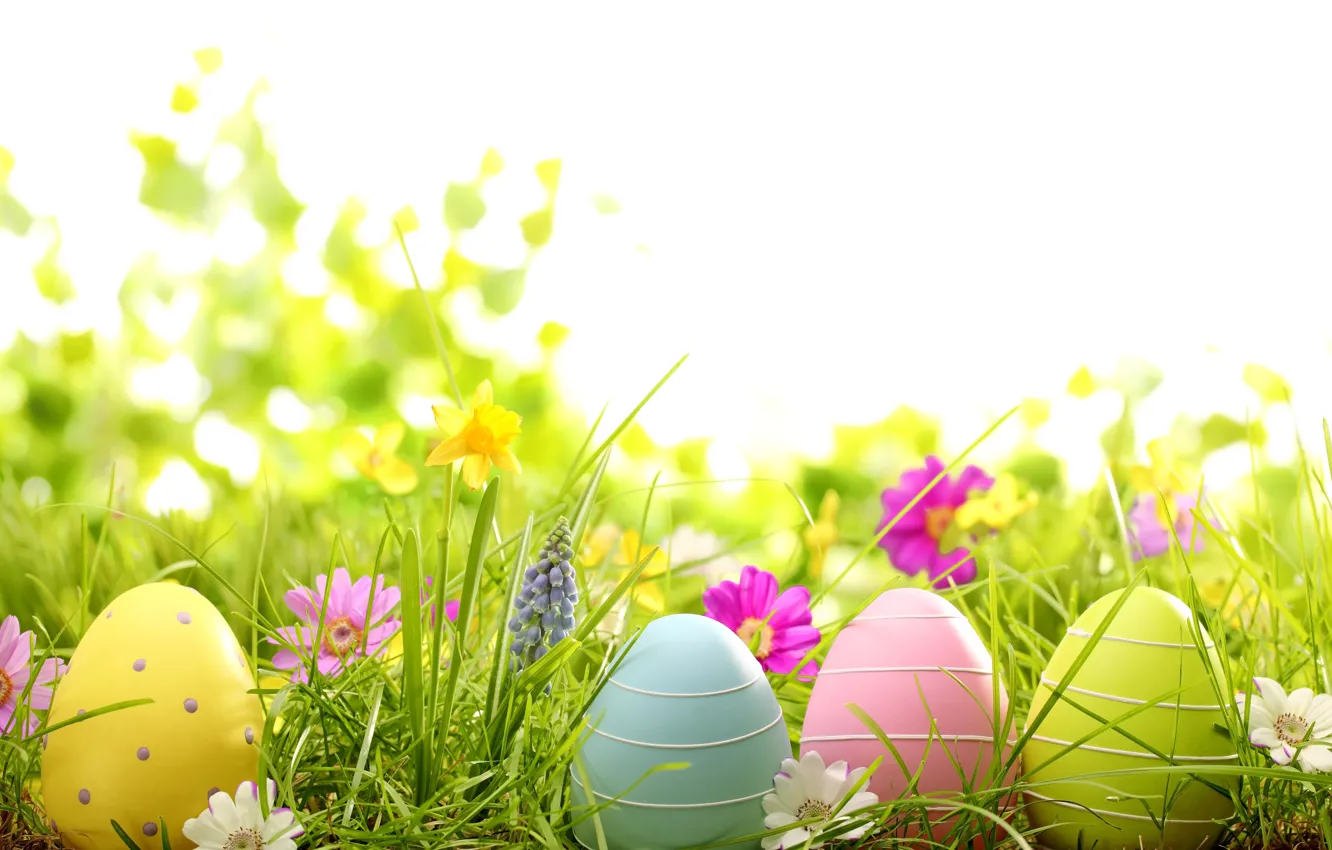 Photo wallpaper grass, flowers, eggs, spring, Easter, grass, flowers, spring