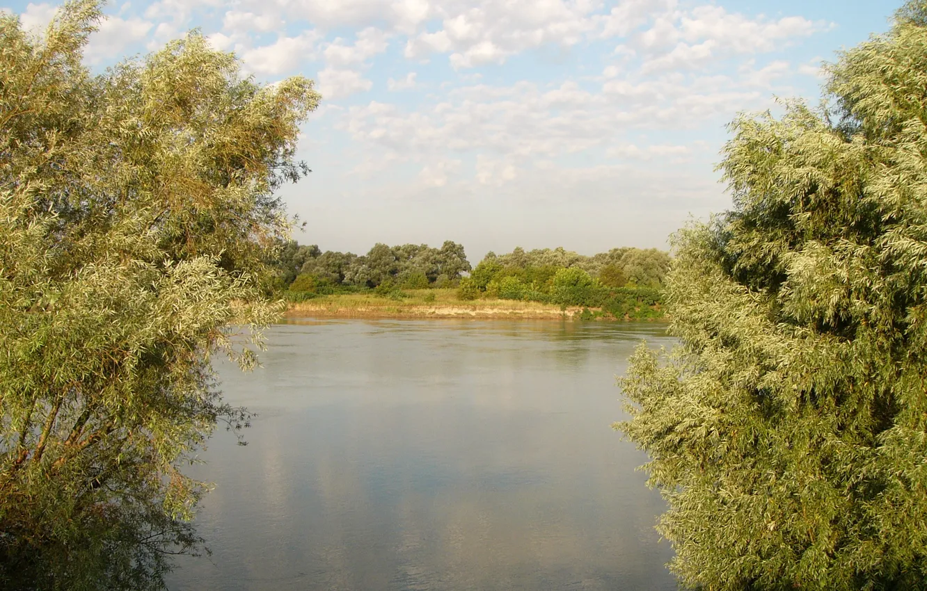 Photo wallpaper summer, the sky, river, willow, Kuban