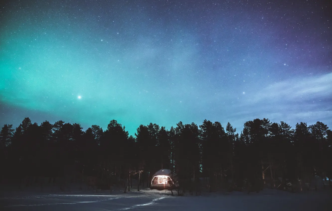 Photo wallpaper The sky, Night, Stars, Trees, Forest, Light, Tent, House