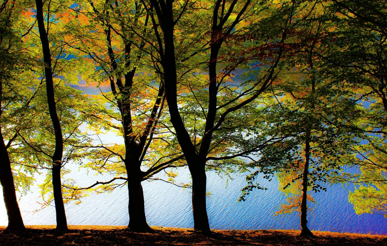 Photo wallpaper autumn, water, trees, river